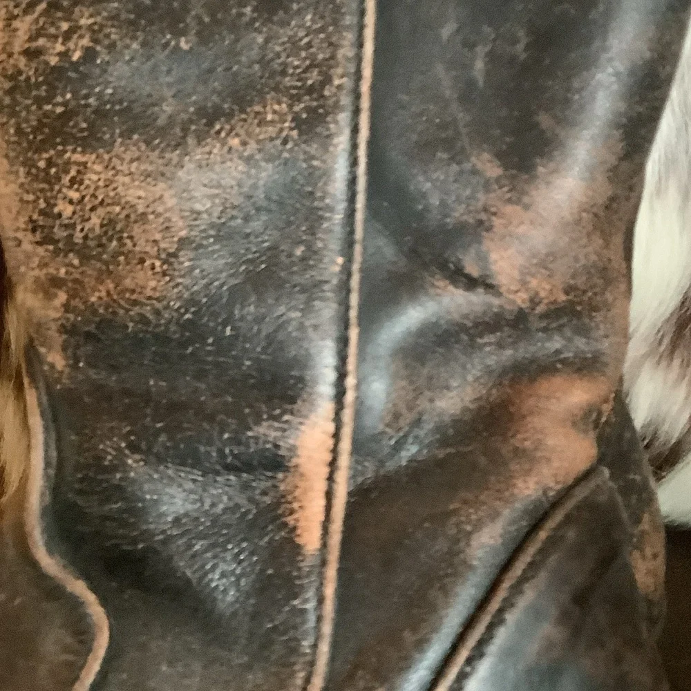 Frye Brown Leather tall boots